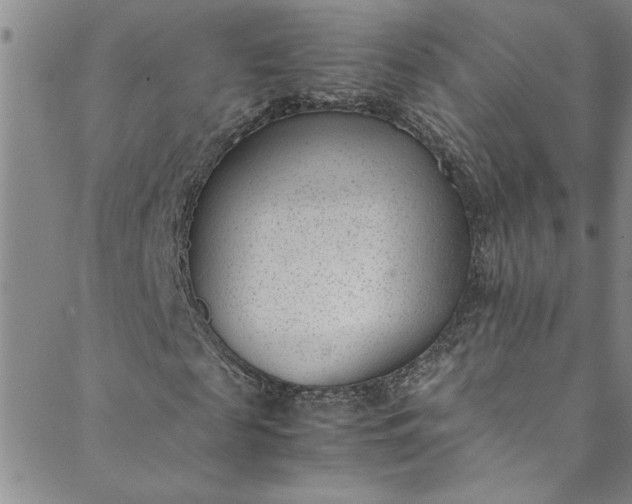 X0000088580817200706081120