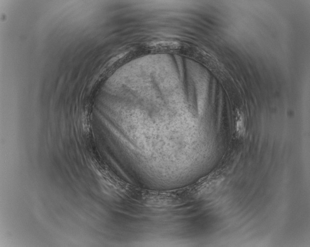 X0000088580819200706081120