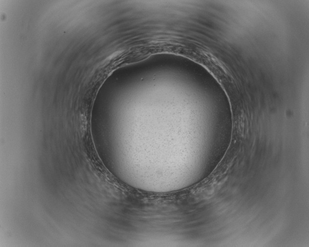 X0000088580821200706081120