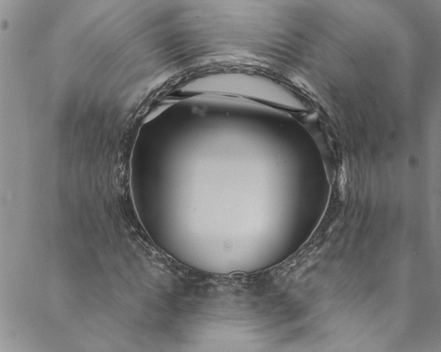 X0000088580822200706081120