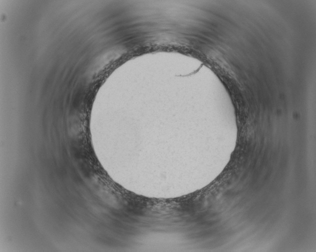 X0000088580824200706081120