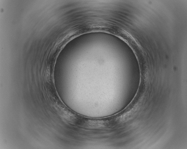 X0000088580825200706081120