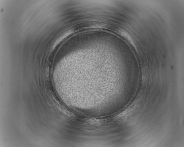 X0000088580827200706081120