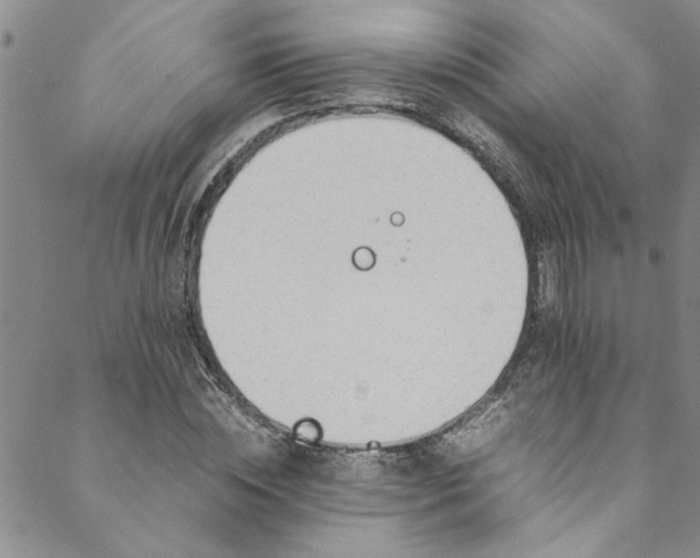 X0000088580828200706081120