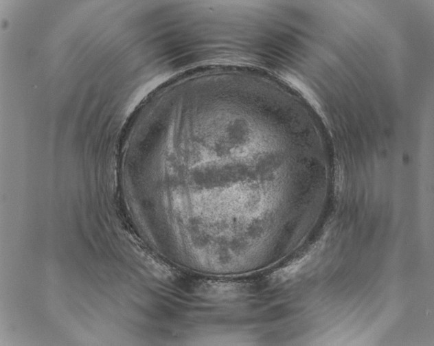 X0000088580829200706081120