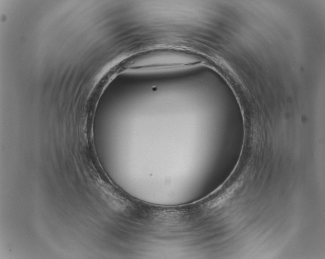 X0000088580830200706081120