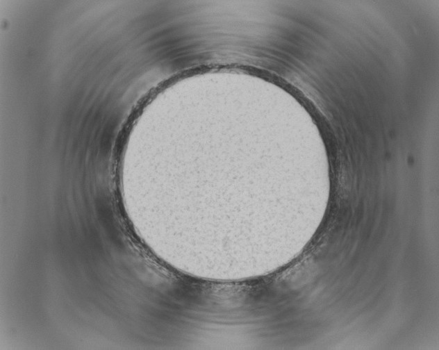 X0000088580832200706081120