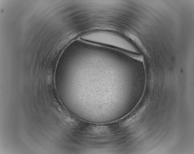 X0000088580833200706081120