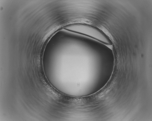 X0000088580834200706081120