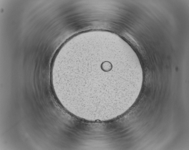 X0000088580836200706081120