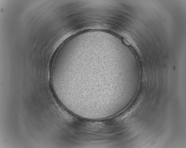 X0000088580837200706081121