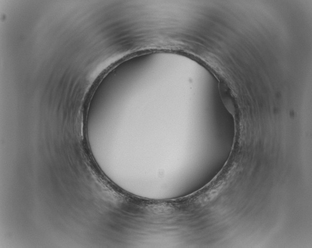 X0000088580838200706081121