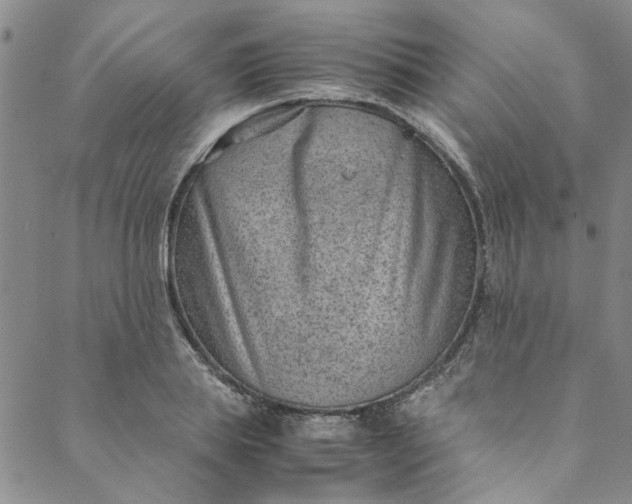 X0000088580839200706081121