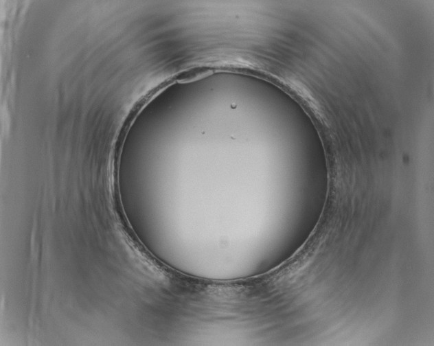 X0000088580840200706081121