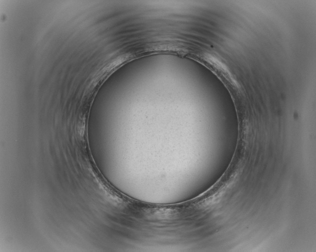 X0000088580841200706081121