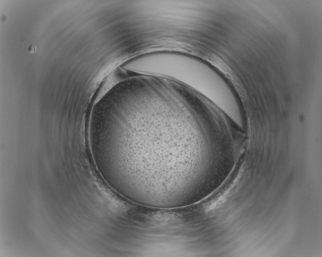 X0000088580842200706081121