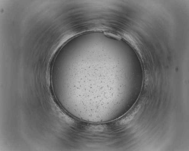 X0000088580843200706081121