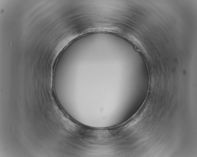 X0000088580844200706081121