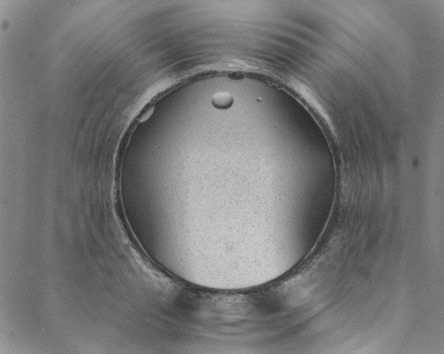 X0000088580845200706081121