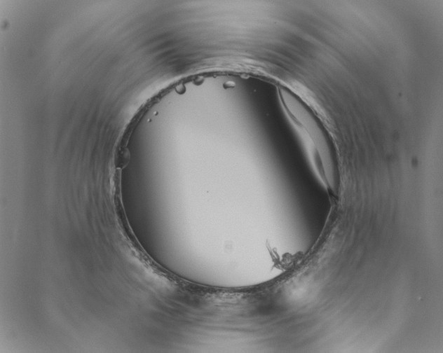 X0000088580846200706081121