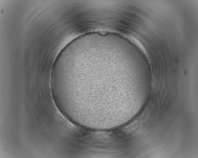 X0000088580847200706081121