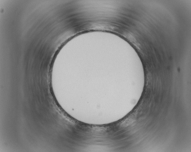 X0000088580848200706081121