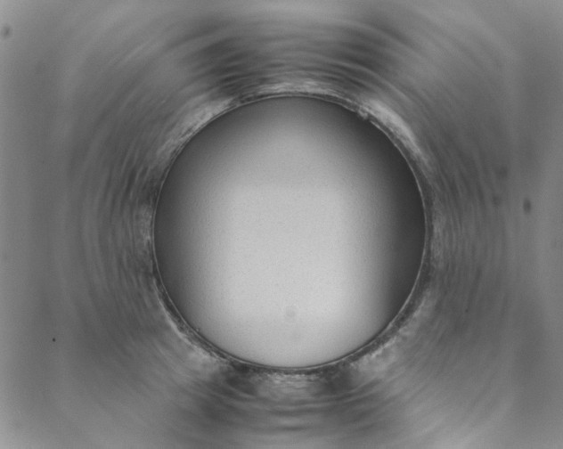 X0000088580849200706081121