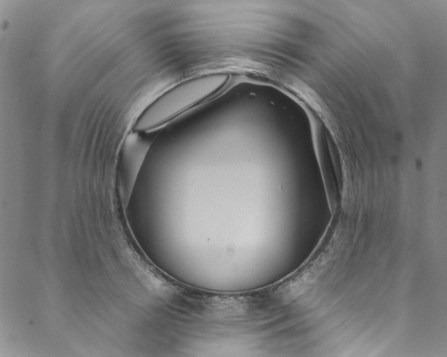 X0000088580850200706081121