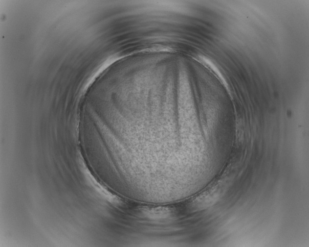 X0000088580851200706081121