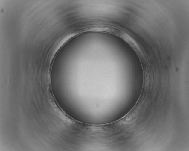 X0000088580852200706081121