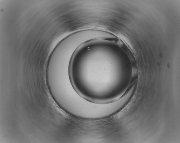 X0000088580854200706081121