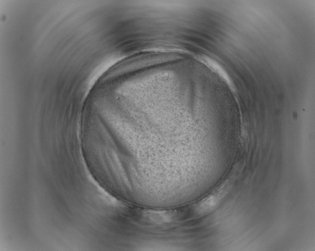 X0000088580855200706081121