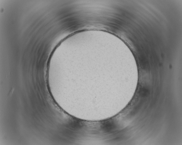 X0000088580856200706081121