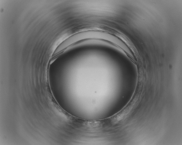 X0000088580858200706081121