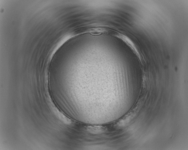 X0000088580859200706081121