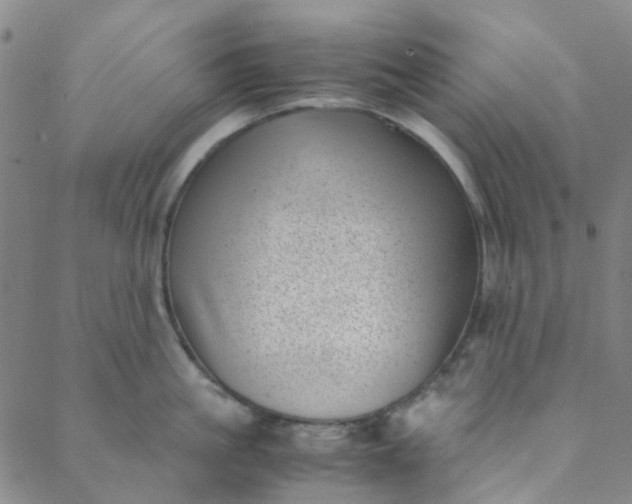 X0000088580861200706081121