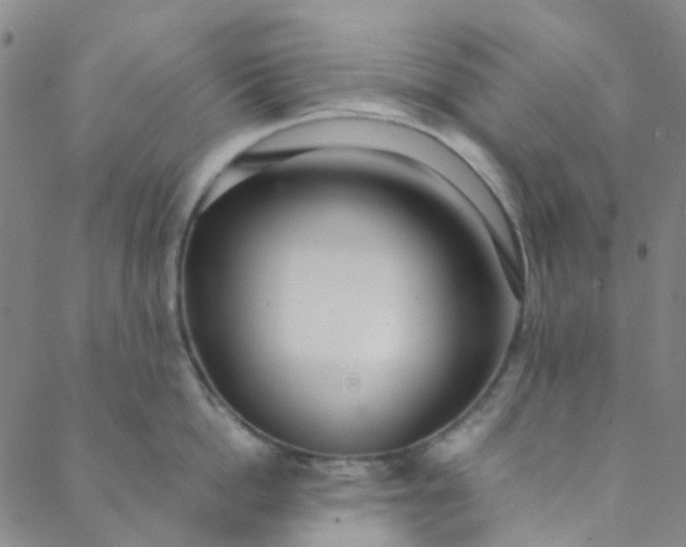 X0000088580862200706081121