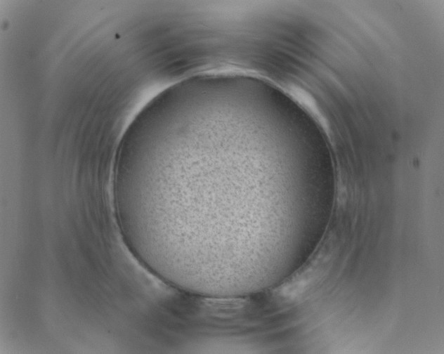 X0000088580863200706081121