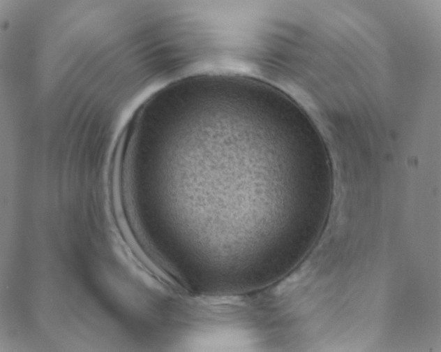 X0000088580864200706081121