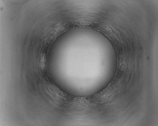 X0000088580866200706081120