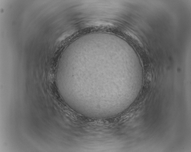 X0000088580869200706081120