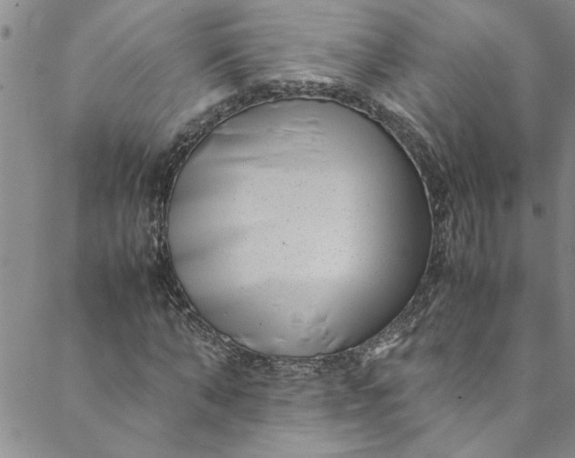 X0000088580870200706081120