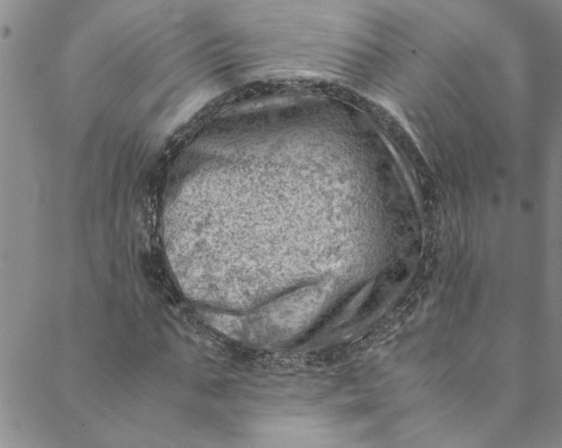 X0000088580871200706081120