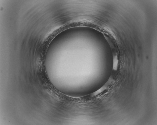 X0000088580872200706081120