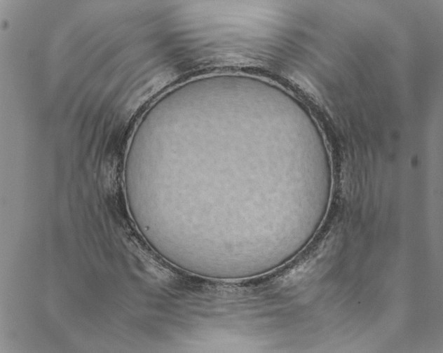 X0000088580873200706081120