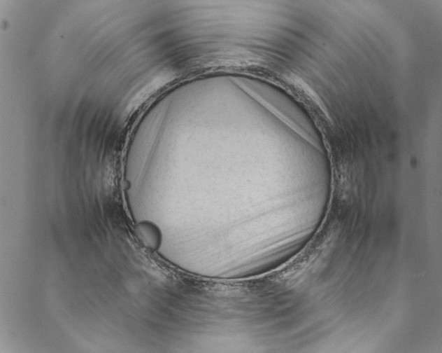 X0000088580874200706081120