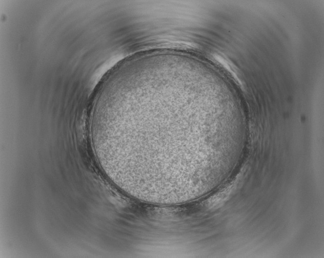 X0000088580875200706081120