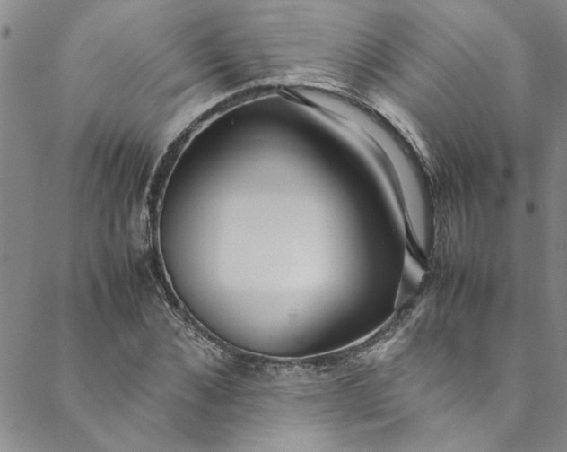 X0000088580876200706081120