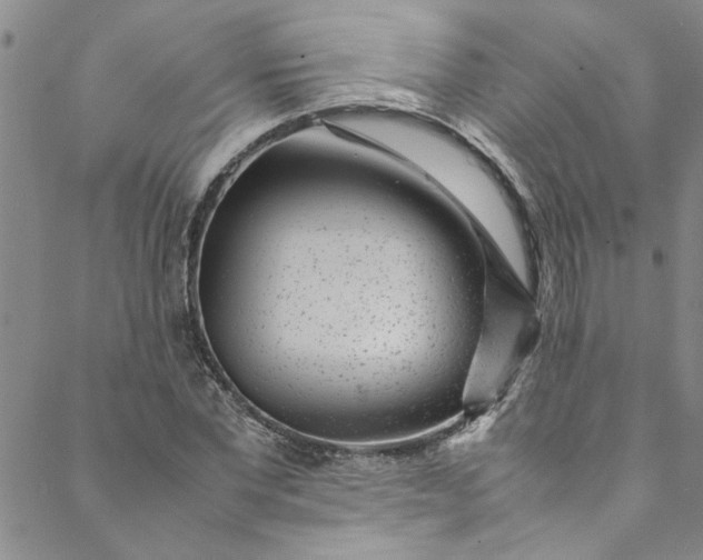 X0000088580877200706081120