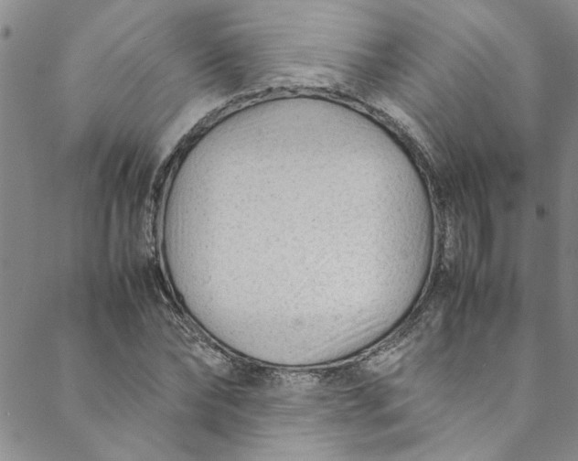 X0000088580878200706081120